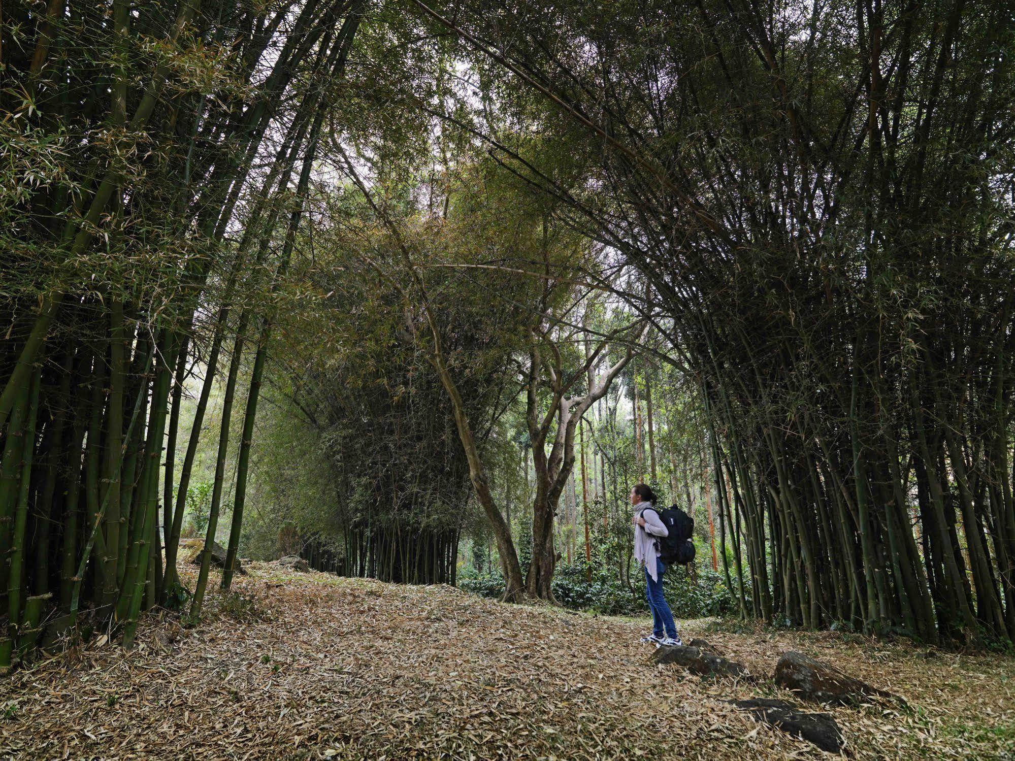 The Serai Chikmagalur Ngoại thất bức ảnh